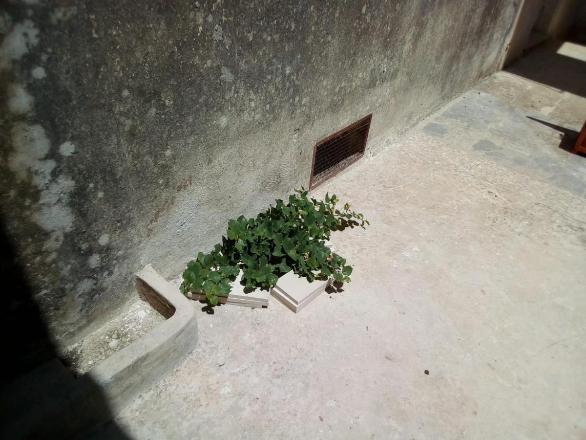 Cortile Calinea Acomodação com café da manhã Castrignano del Capo Exterior foto